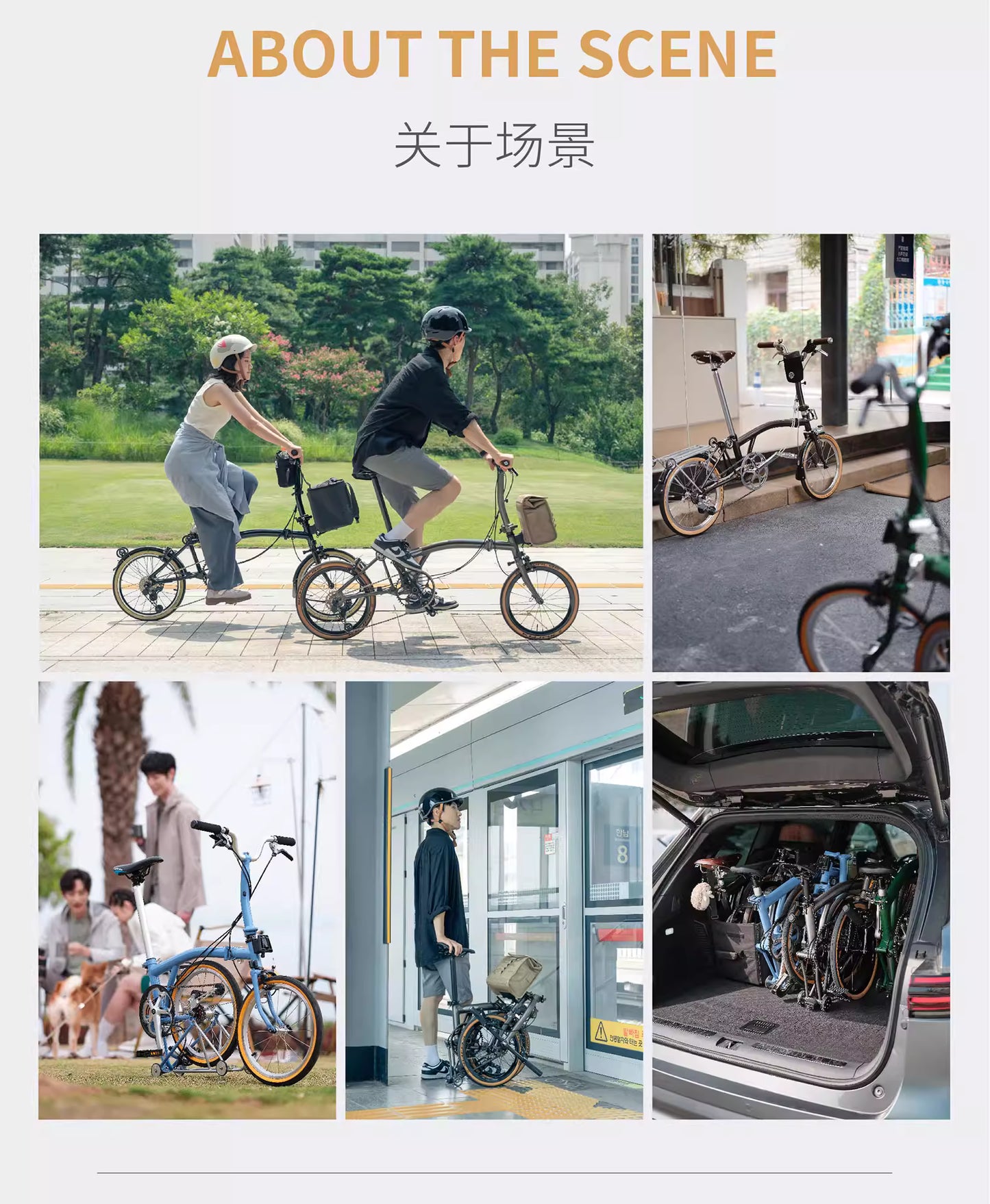 ACEOFFIX D10 - X Terrain Ride!